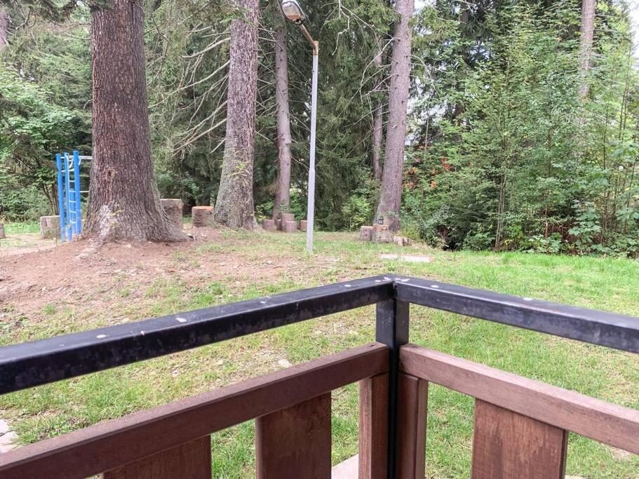 Cozy Riverside Pine Studio E5 Borovets Ngoại thất bức ảnh