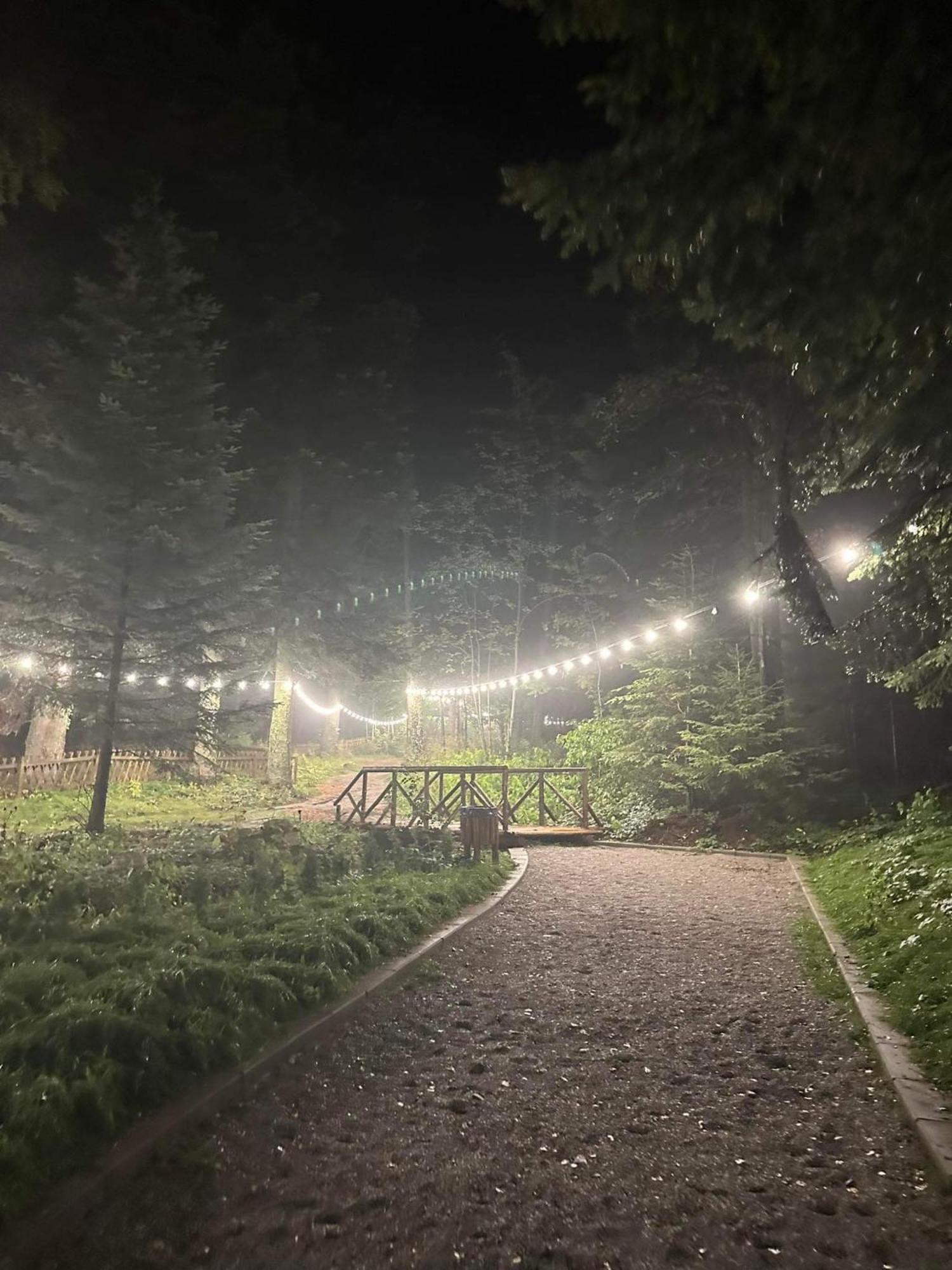 Cozy Riverside Pine Studio E5 Borovets Ngoại thất bức ảnh